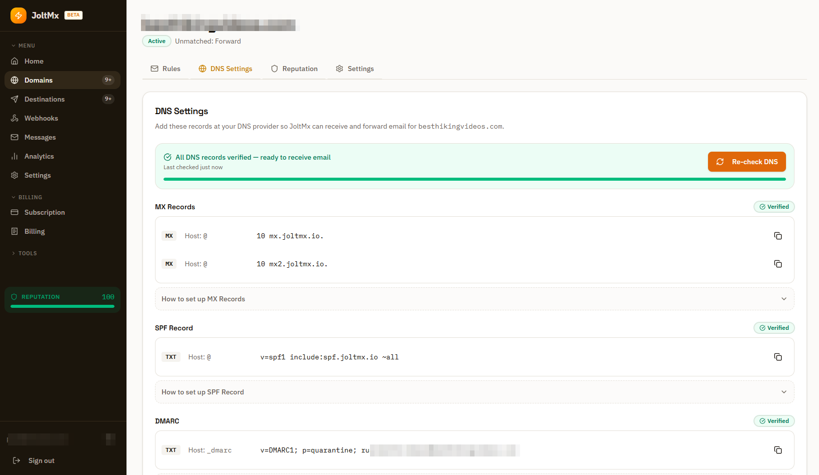 Guided DNS setup with live MX, SPF, DKIM and DMARC verification